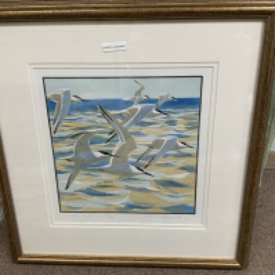 Robert Greenhalf, 6 signed woodblock prints of seabirds, 51.5cm x 53cm