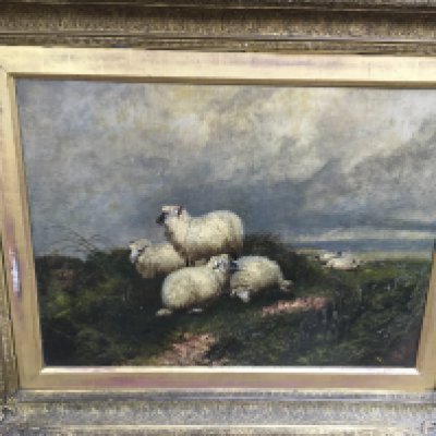 An oil painting study of sheep. Approx 85cmx69cm.