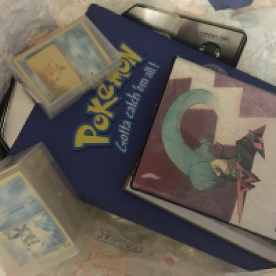 A bag containing Pok&eacute;mon cards various