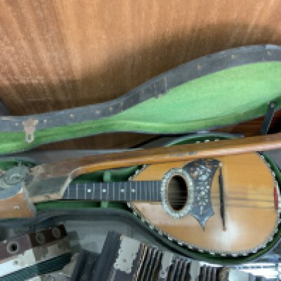 A cased Flat Back Mandolin, Concertina, Pain Brothers Accordion, Single stringed instrument. (D)