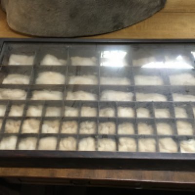 An oak and glass display case, 63cm wide 12cm tall