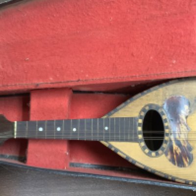 A vintage cased mandolin. Alfred Albertini. (D)