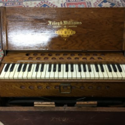 An early 20th century Foley & Williams organ
