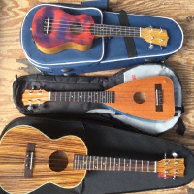 Three cased scratch built ukeleles and a bag of related guide books (4).