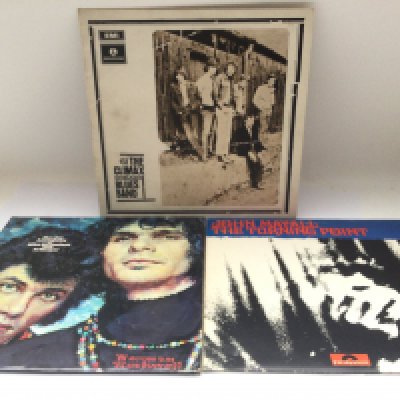 Three blues rock LPs comprising a first UK pressing of the self titled LP by The Climax Chicago Blues Band in Ex condition, 'The Turning Point' by John Mayall and 'The Live Adventures Of Mike Bloomfield and Al Kooper'.