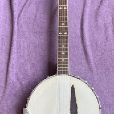A Gold Tone BG250 Banjo in very good overall condition with playwear to the skin. Comes in an Ozark banjos hard fitted hard case.
