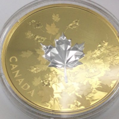 A 2017 silver proof whispering maple leaf coin. 94.4g