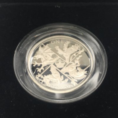 A 2016 royal mint silver proof piedfort &pound;1 coin. Postage B