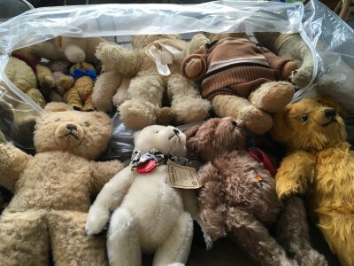 A collection in excess of 14 plush teddy bears of varying ages and sizes, includes a wind up musical bear and some limited edition.  Manufacturers include Merry Thought, Herman, Clemens etc.  no reserve