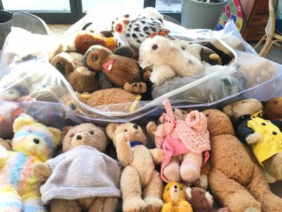 A collection in excess of 20 plush toys comprising teddy bears and Owls of varying ages by manufacturers including Merry Thought, Darin, Vera Small and others. Includes a wind up musical teddy bear.  No reserve