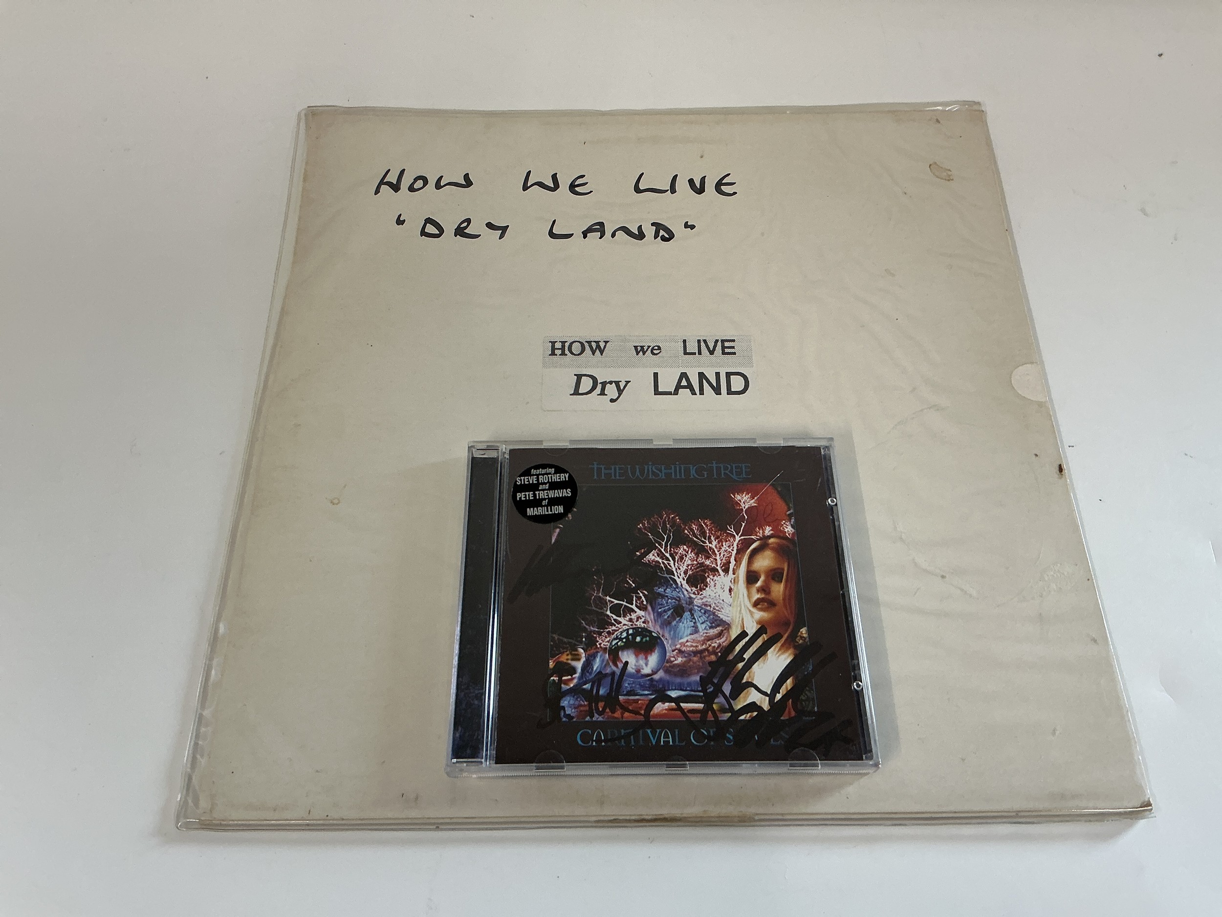 A signed Carnival Of Souls CD by The Wishing Tree plus a white label Dry Land LP by How We Live.