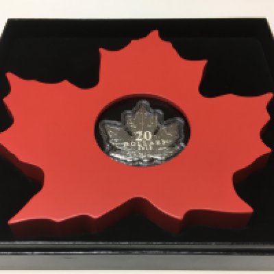 A boxed Royal Canadian Mint maple leaf silver coin. Postage category B