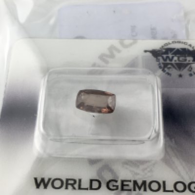 Security sealed single loose cushion cut garnet 1.48ct with COA. Postage A