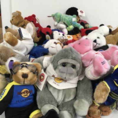 A collection in excess of 50 Teddy Bears in the Hard Rock Cafe series mostly with tags. Includes some limited and signature editions. No reserve