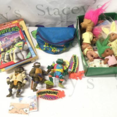 A Collection of Teenage Muntant Hero Turtles Figures and Book And A Collection of Trolls.