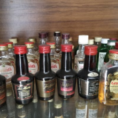 A collection of miniature spirits including some whisky Brandy and many others. Some lower levels- NO RESERVE