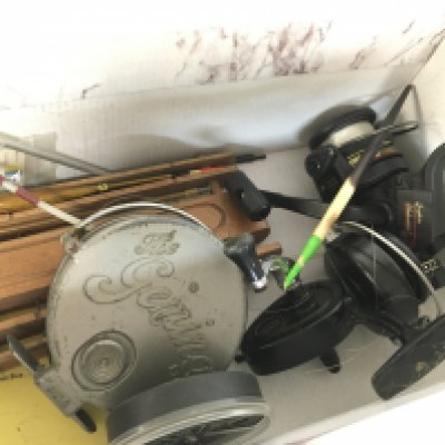 A collection of fishing reels including Intrepid Regent, The Gemina, Graphite Shakespeare and rods