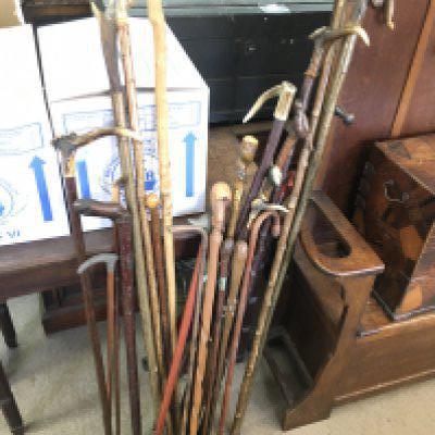 A collection of wooden walking sticks, some with deer horn handles, carved designs etc. Tallest stick 146cm.