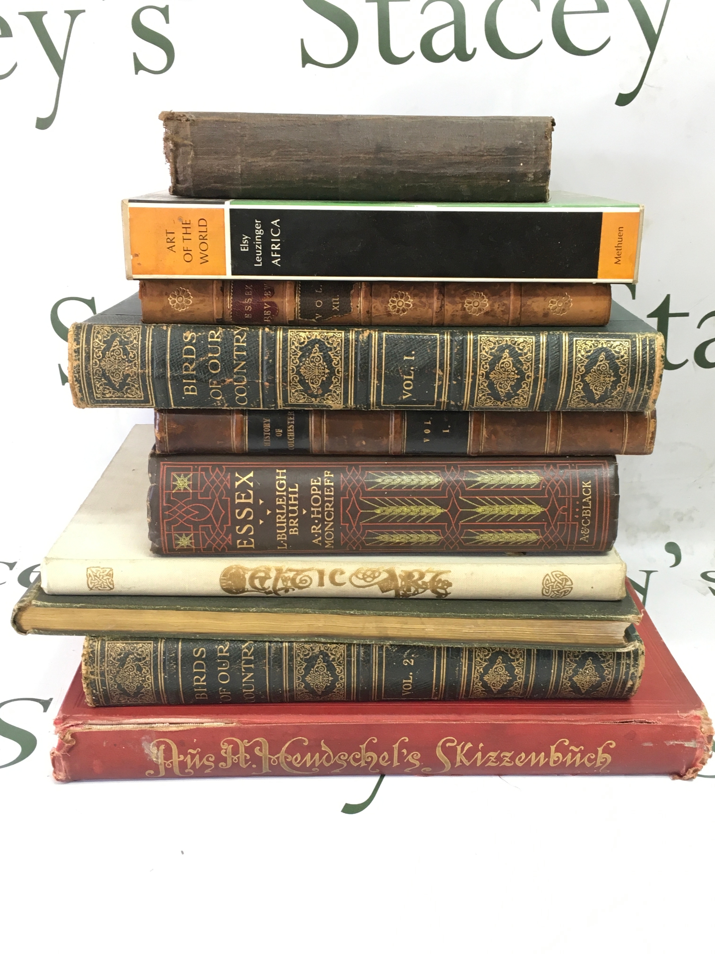 A collection of books - A History of Rome by Henry G.Liddell 1858, Art of the World Esly Leuzinger Africa, Essex Review 1903, Birds of our country vol 1 and 2, History of Colchester vol 1 1825, Essex Adam and Charles Black 1909, Celtic Art by George Bain, Sketches in pen and ink by Harry Furniss and Aus A. Hendschel's Skizzenbuch" (From A. Hendschel's Sketchbook), a collection of works by the German artist Albert Hendschel (1844–1883).
