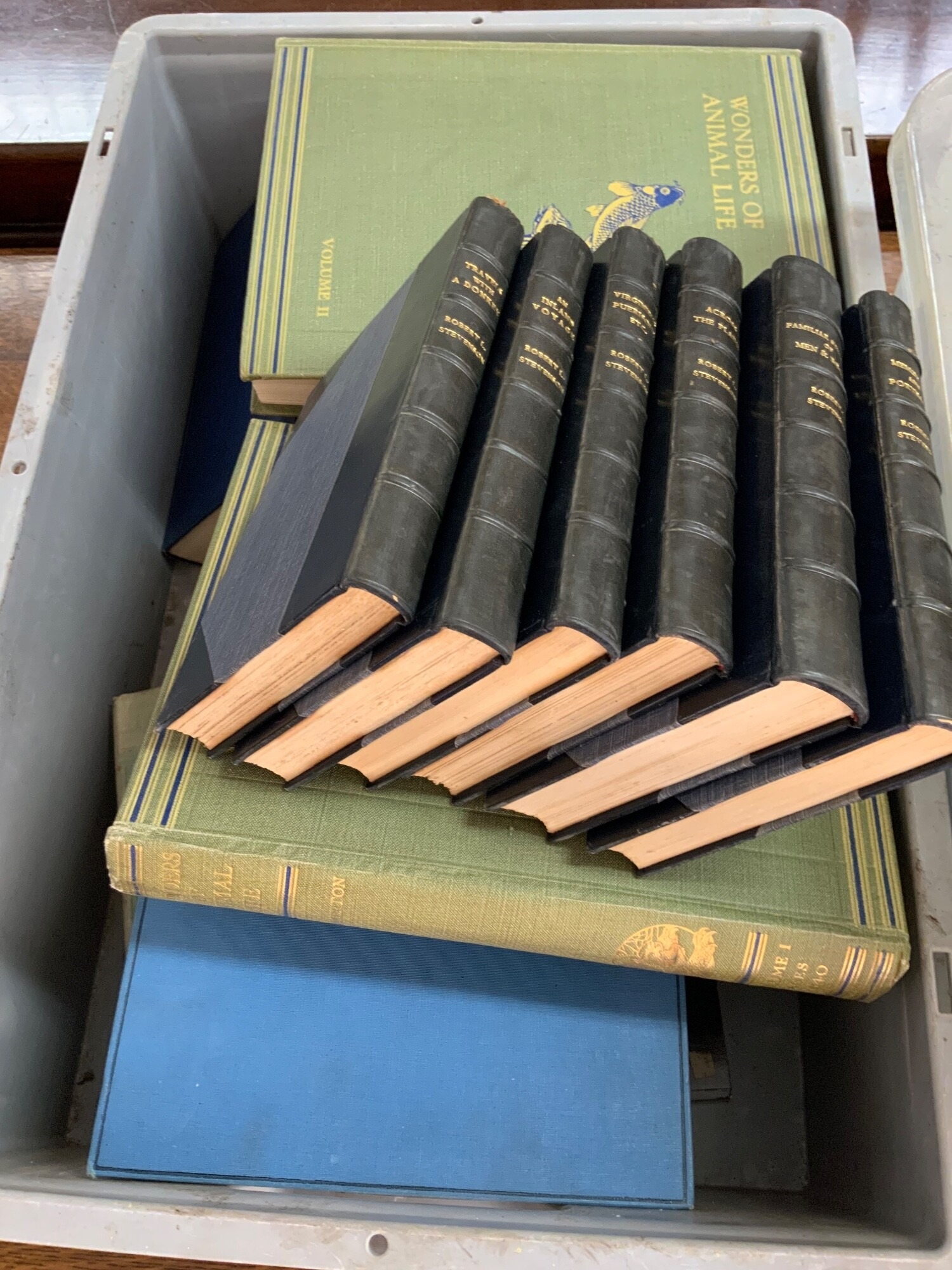 A large collection of vintage books. NO RESERVE