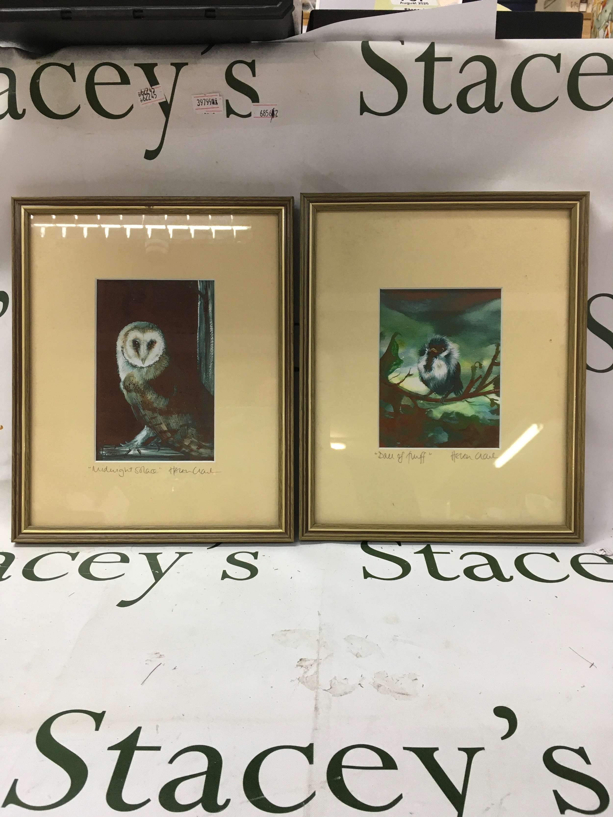 Two framed art pieces signed by Helen Clow. 'The Midnight Solace' and 'Ball of Fluff'. 