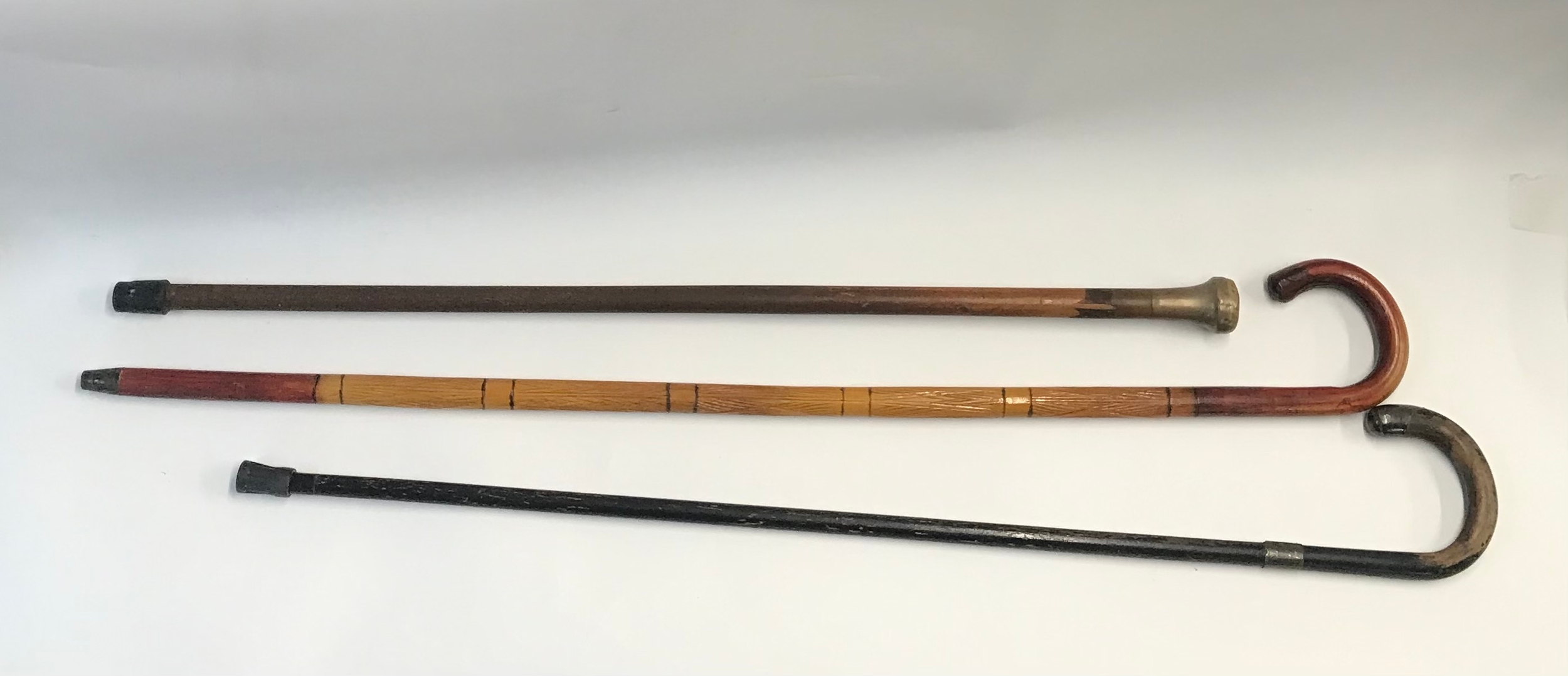 Three walking sticks