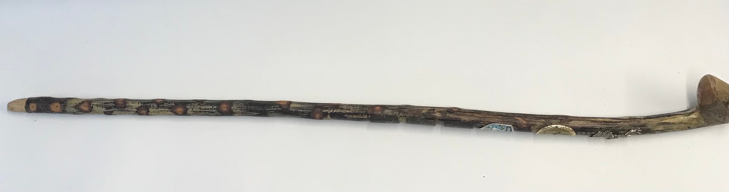 A souvenir walking cane 