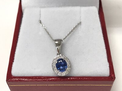 9ct white gold oval sapphire and diamond cluster pendant on a 9ct white gold chain. Sapphire 0.79ct and 0.16ct diamonds approx.