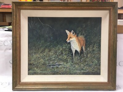 A Charles Barrett oil (acrylic) on canvas painting “Red Fox”. Dimensions 68x58cm