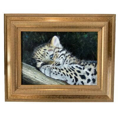 Pip McGarry, 1955 - Present, original oil on canvas, titled “Peekaboo Amur Leopard Cub” , 36cm x 26cm. Signed and dated 2008. (Measurements of canvas only).