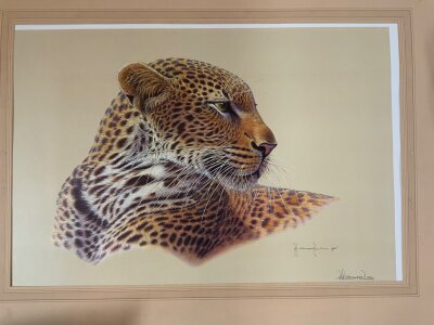 A limited edition signed print 68/300, Kim Brooks, 1975, Leopard portrait.86cm x 64cm