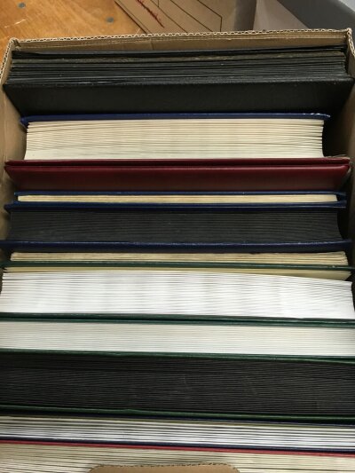 A box containing 12 stock books of various World stamps