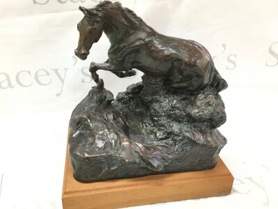 A bronze horse figure signed Betts on a wooden base. Dimensions 31cm tall , 28cm wide.