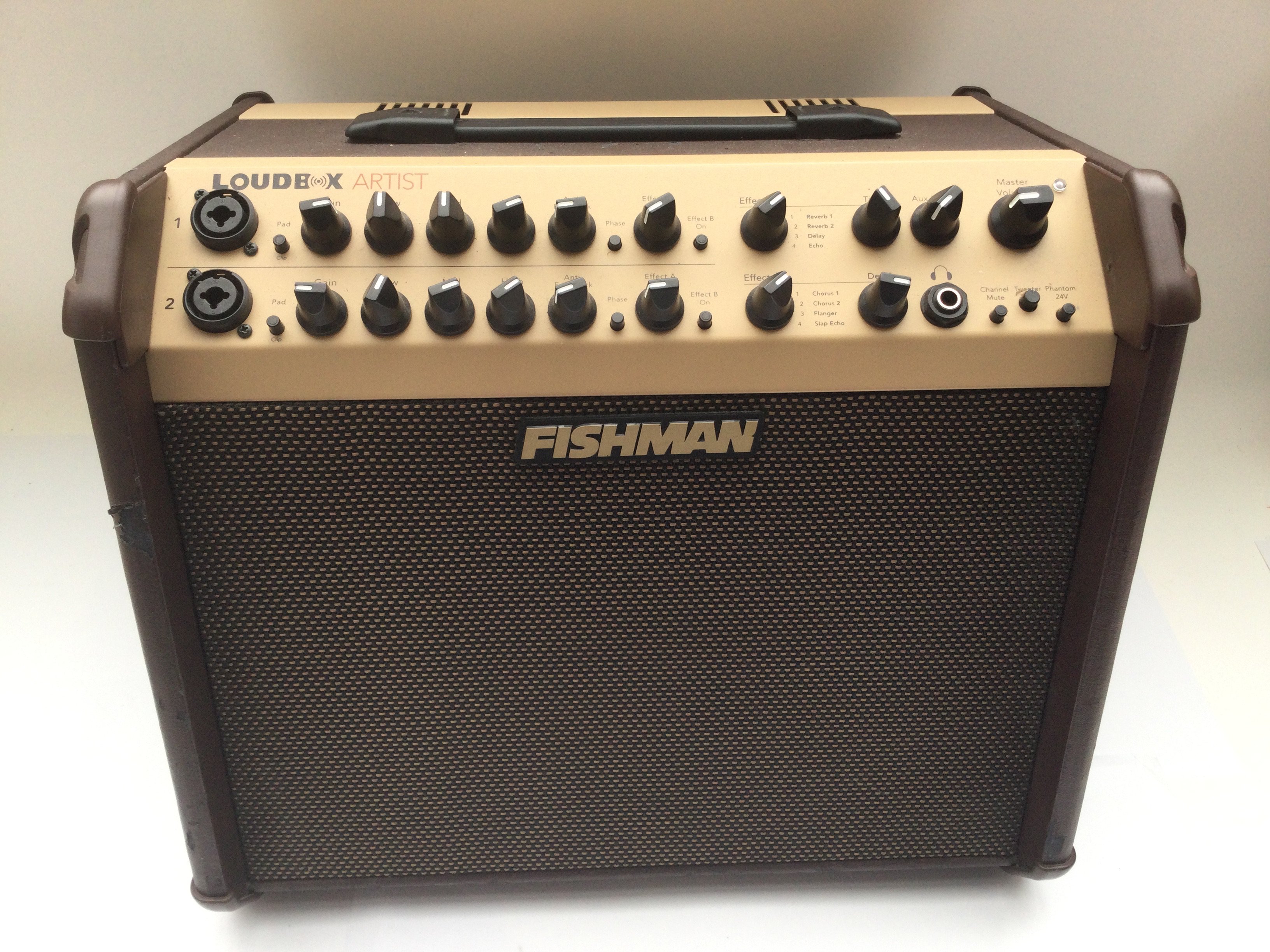 A Fishman Loudbox Artist amplifier.