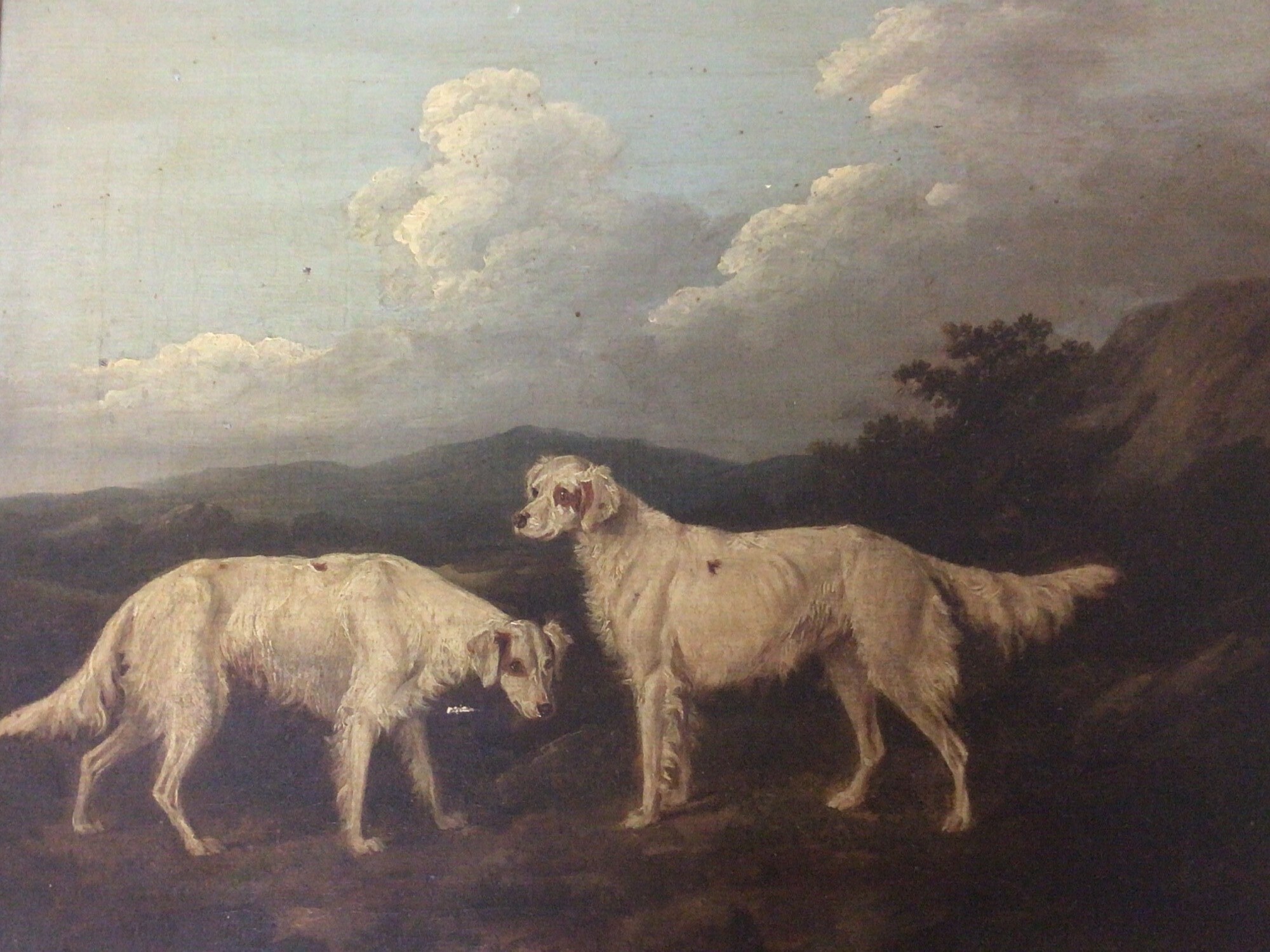 detail