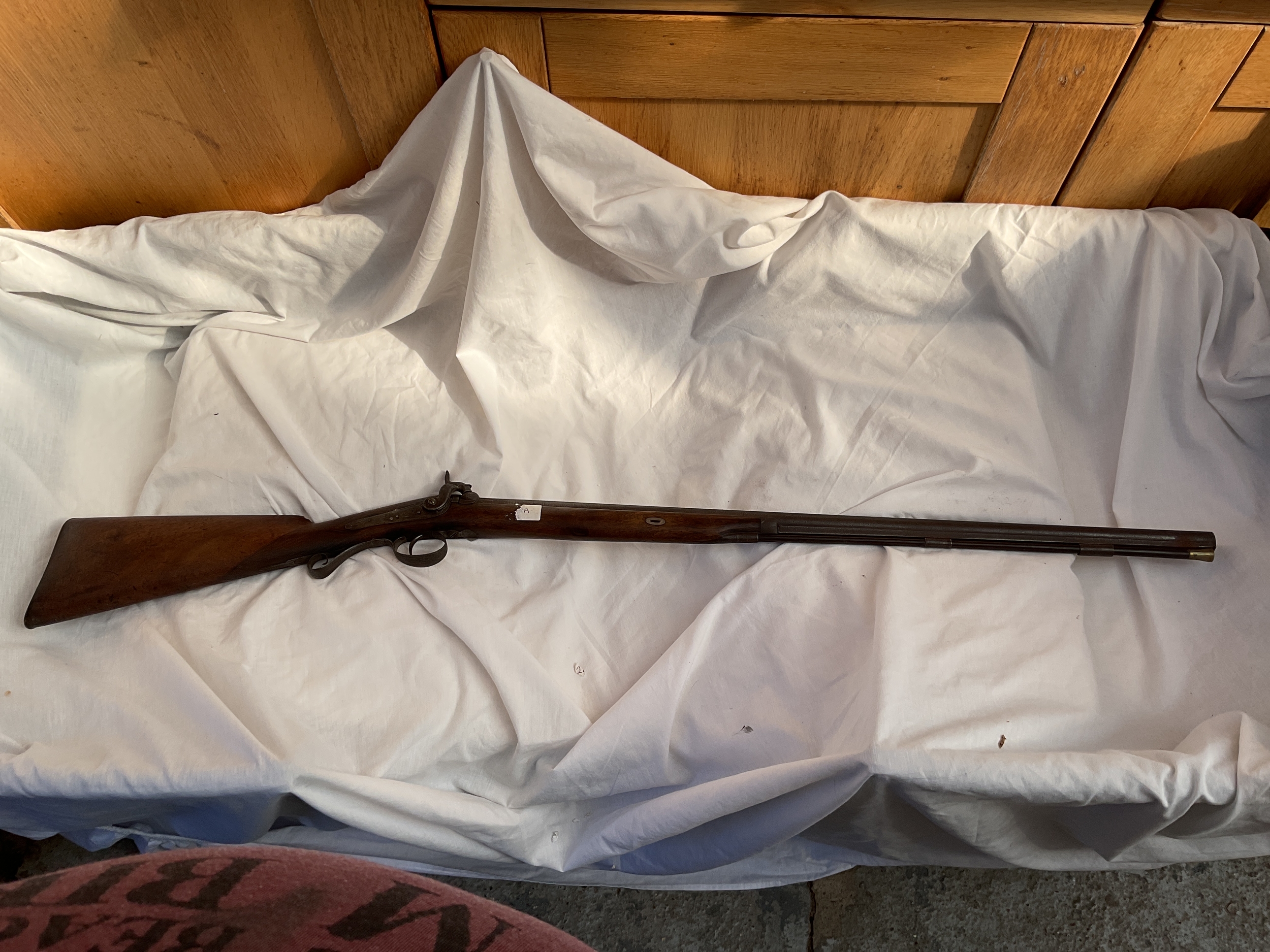 Percussion fowling piece with ramrod.and back strap action.