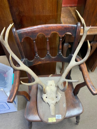 A pair of vintage stags horns,  plaque reads R.W.H.W Kenmare Forsetm October 1951.