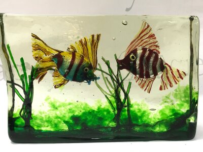 A Murano 1950s original Barbini Aquarium block 28cm wide 18cm tall