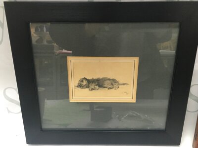 A small framed study of a dog. Sketch dimensions 12x8cm