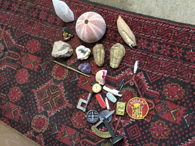 a collection of sea shells, fossils , pen knives etc