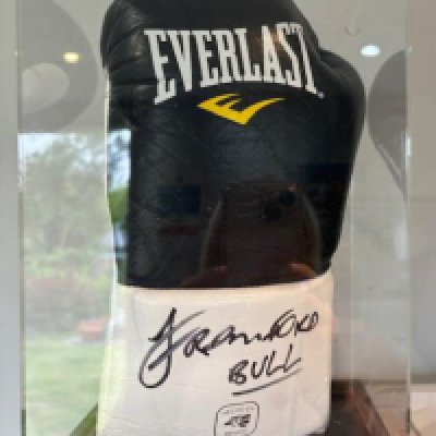 A Cased Johnny Fisher boxing glove 'The Romford Bull' <a href = https://www.the-saleroom.com/en-gb/auction-catalogues/staceys-auctioneers-and-valuers/catalogue-id-srsta10340/lot-e3d007f6-c65c-4caf-a897-b1e800c65f61>Click Here To Bid</a>