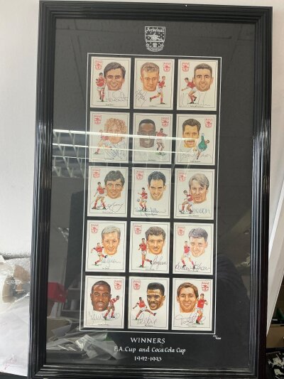 Arsenal 1993 Double Cup Winners Signed Framed Football Cards: 15 cards of the great cup winning team all hand signed without dedication. Includes Adams Seaman Wright Parlour Davis Dixon Merson Smith and others. Measures 25 x 14 inches.
