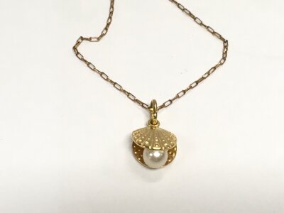 A 9ct gold chain and pendant 2.63g
A/F