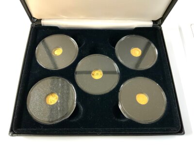 A 24ct gold coin collection (0.5g 24ct gold x 5).
