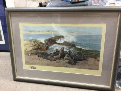 A David Shepard framed print of seals. 80x58cm