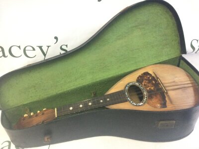 A cased mandolin, no label