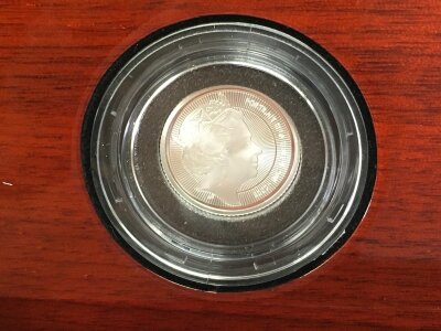2026 1/4oz platinum proof Portraits of the queen coin.