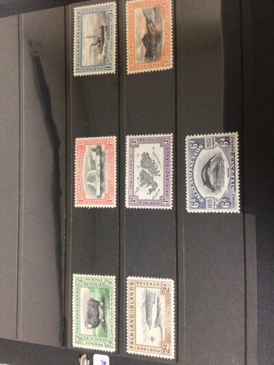 A well presented album of British Falkland Island stamps unused including George V and George VI Elizabeth II all mint unused.