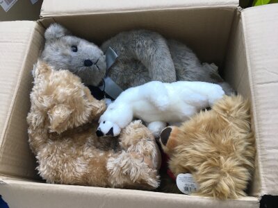 Two boxes of teddy bears including limited edition Bear Factory examples.