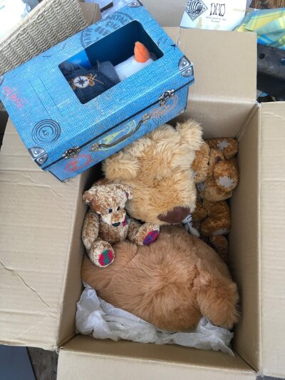 A box of teddy bears, various makes.